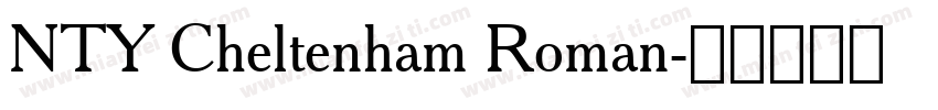 NTY Cheltenham Roman字体转换